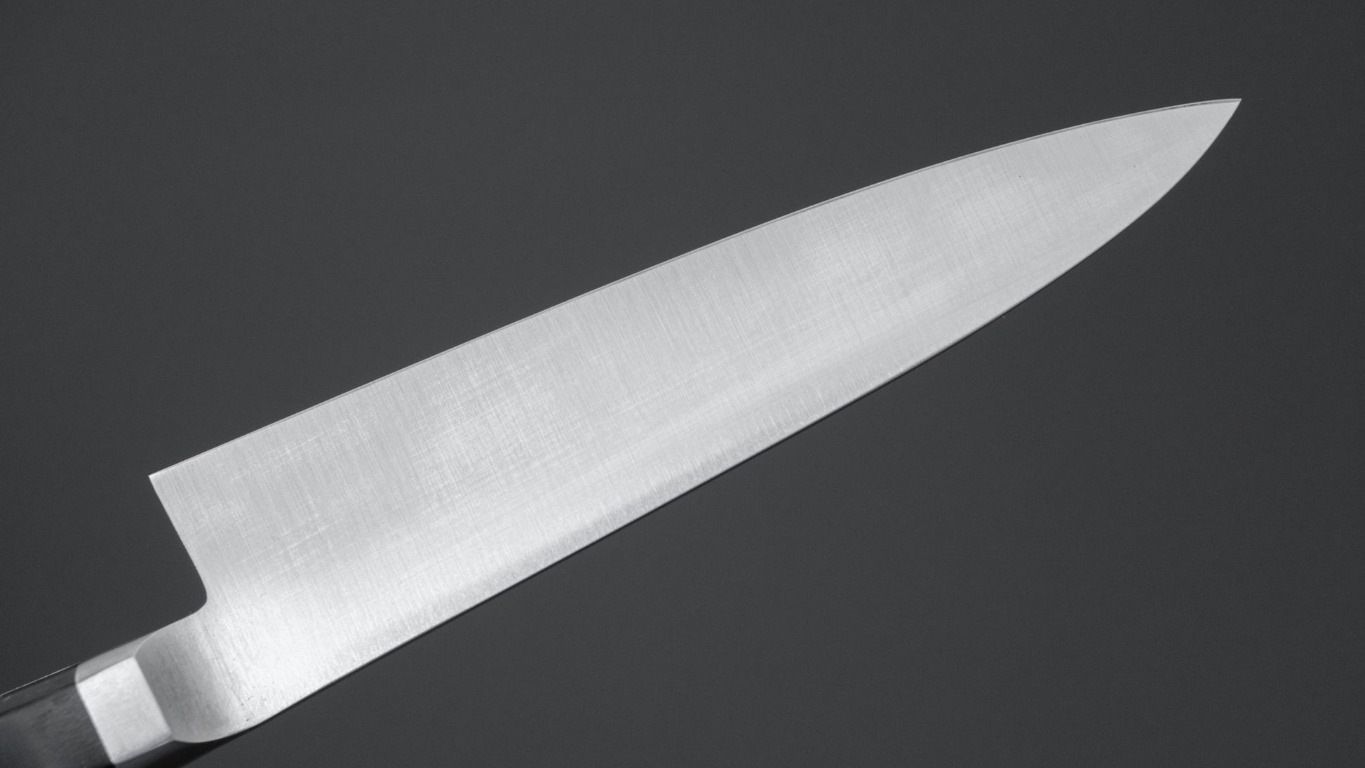 Hitohira KH MV Stainless Petty 120mm Pakka Handle