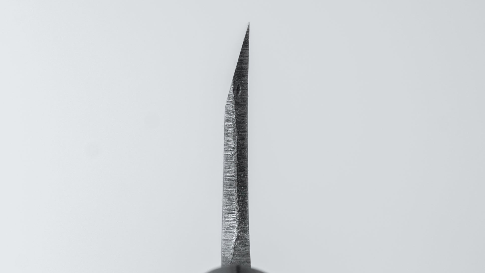 Hitohira Togashi White #2 Deba 150mm Ho Wood Handle (D-Shape/ Saya)