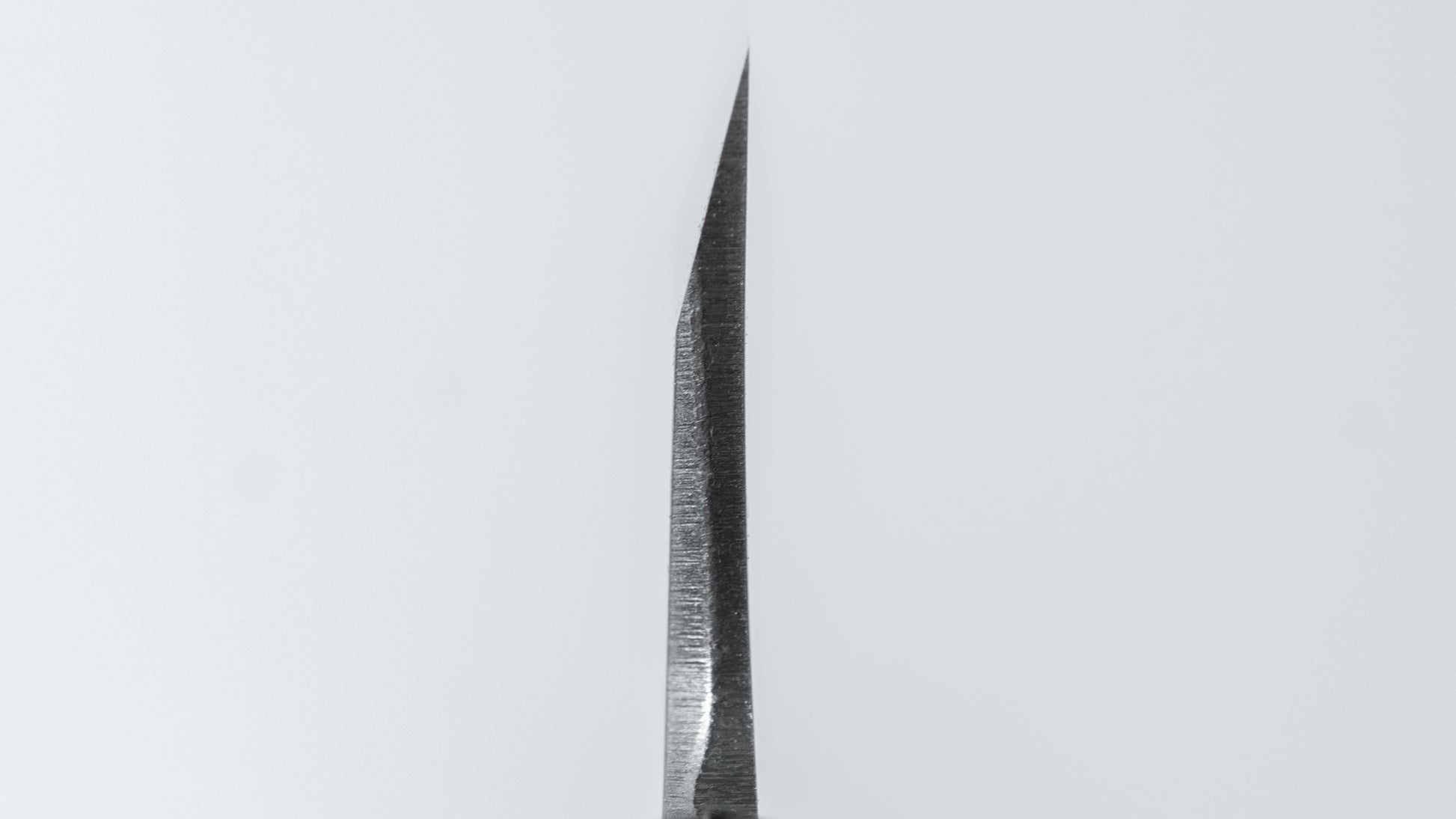 Hitohira Togashi White #2 Deba 120mm Ho Wood Handle (D-Shape/ Saya)