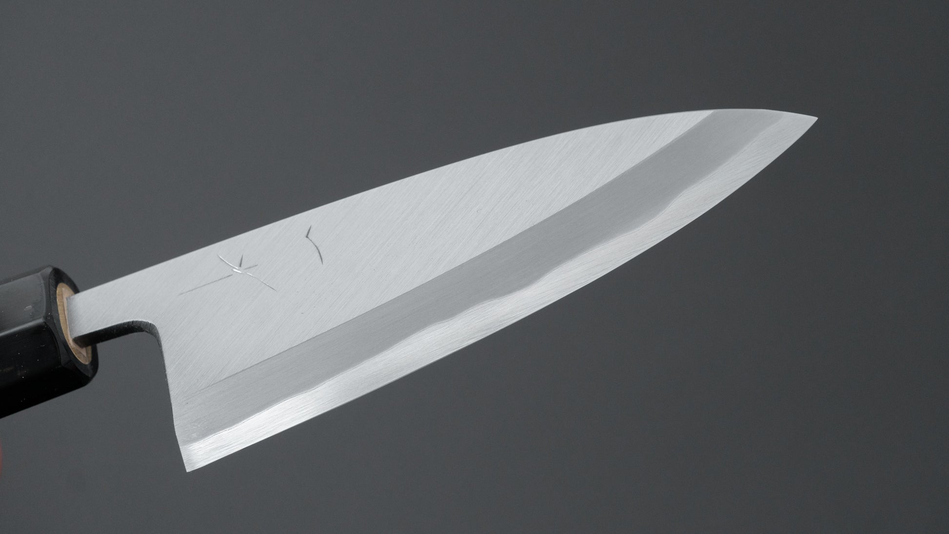 Hitohira Togashi Blue #2 Deba 120mm Ho Wood Handle (Saya)