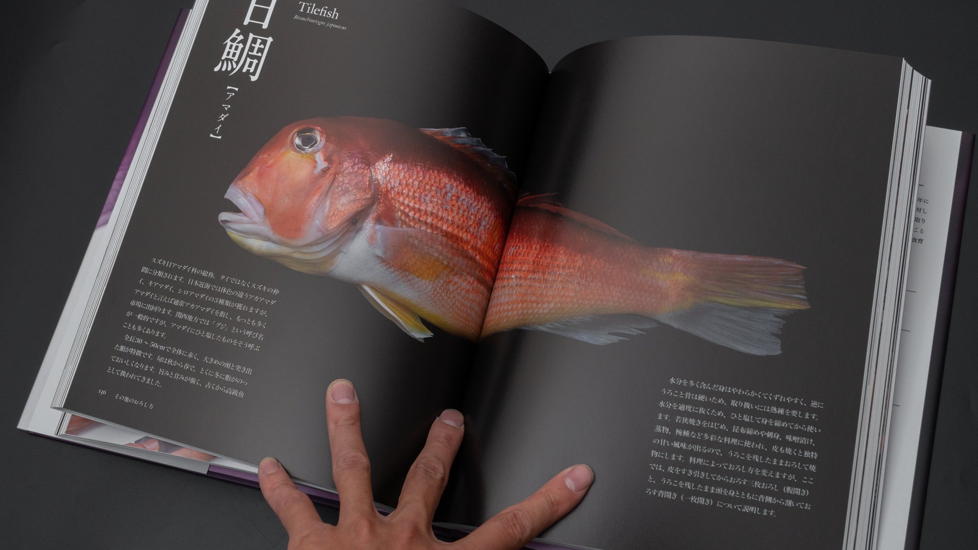 The Japanese Culinary Academy MUKOITA I, Cutting Techniques: Fish - HITOHIRA