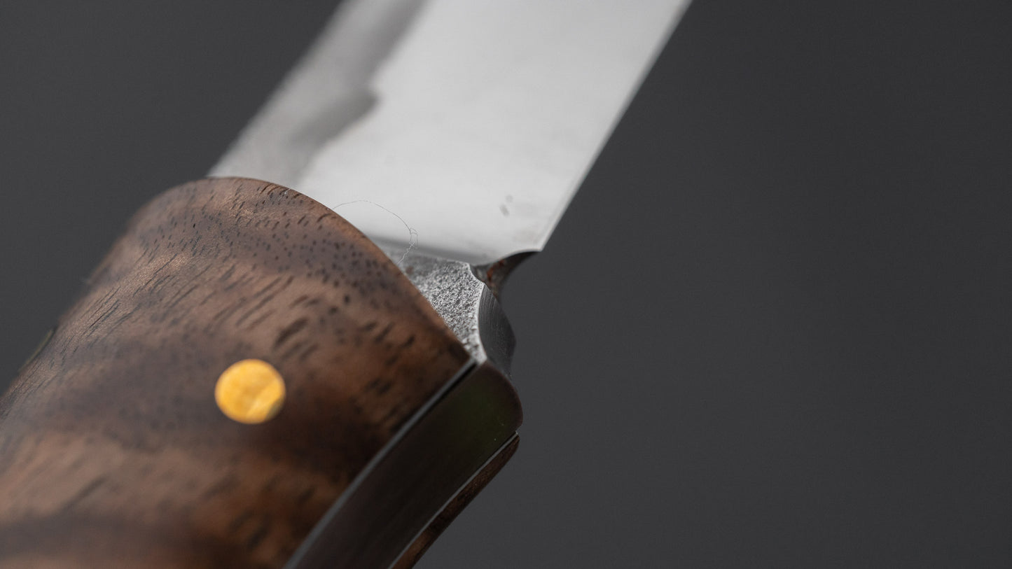 Seino Shikari ATS-34 Fixed Blade Claro Walnut Handle (#006)