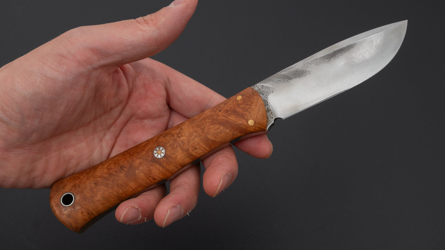 Seino ATS-34 Fixed Blade Quince Handle (#008)