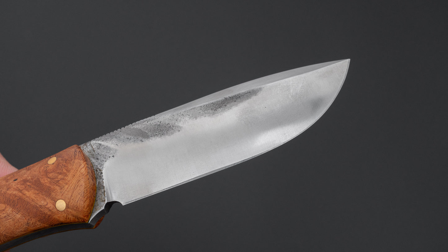 Seino ATS-34 Fixed Blade Quince Handle (#008)