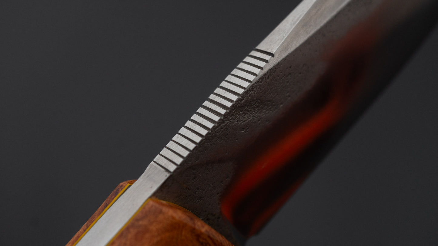 Seino ATS-34 Fixed Blade Quince Handle (#008)