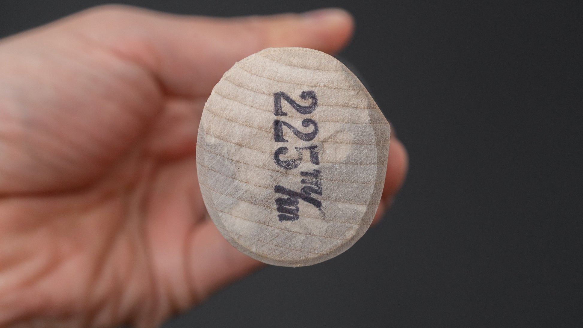 Morihei Munetsugu White #2 Ai Deba 225mm Ho Wood Handle