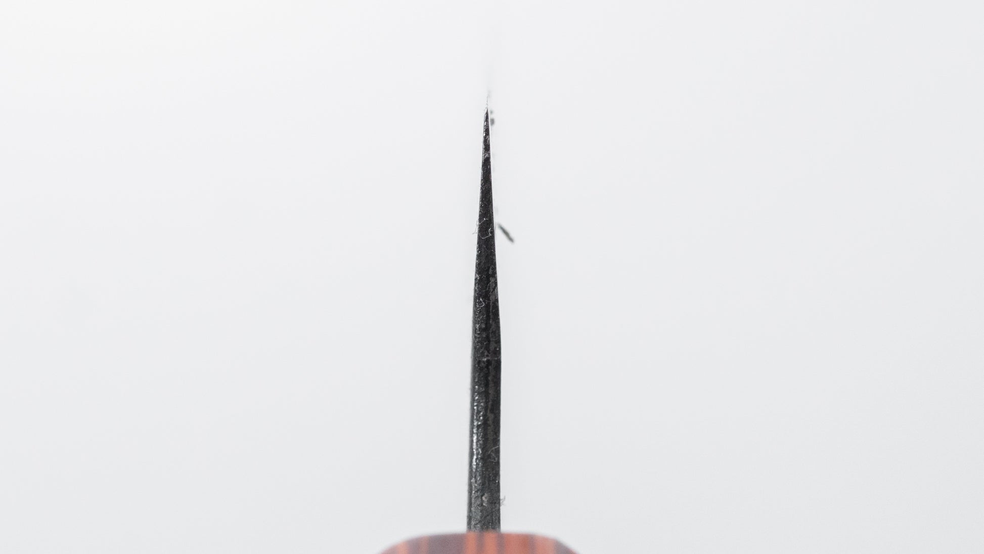 Hitohira Tosa Kurouchi White #2 Utility 140mm Walnut Handle