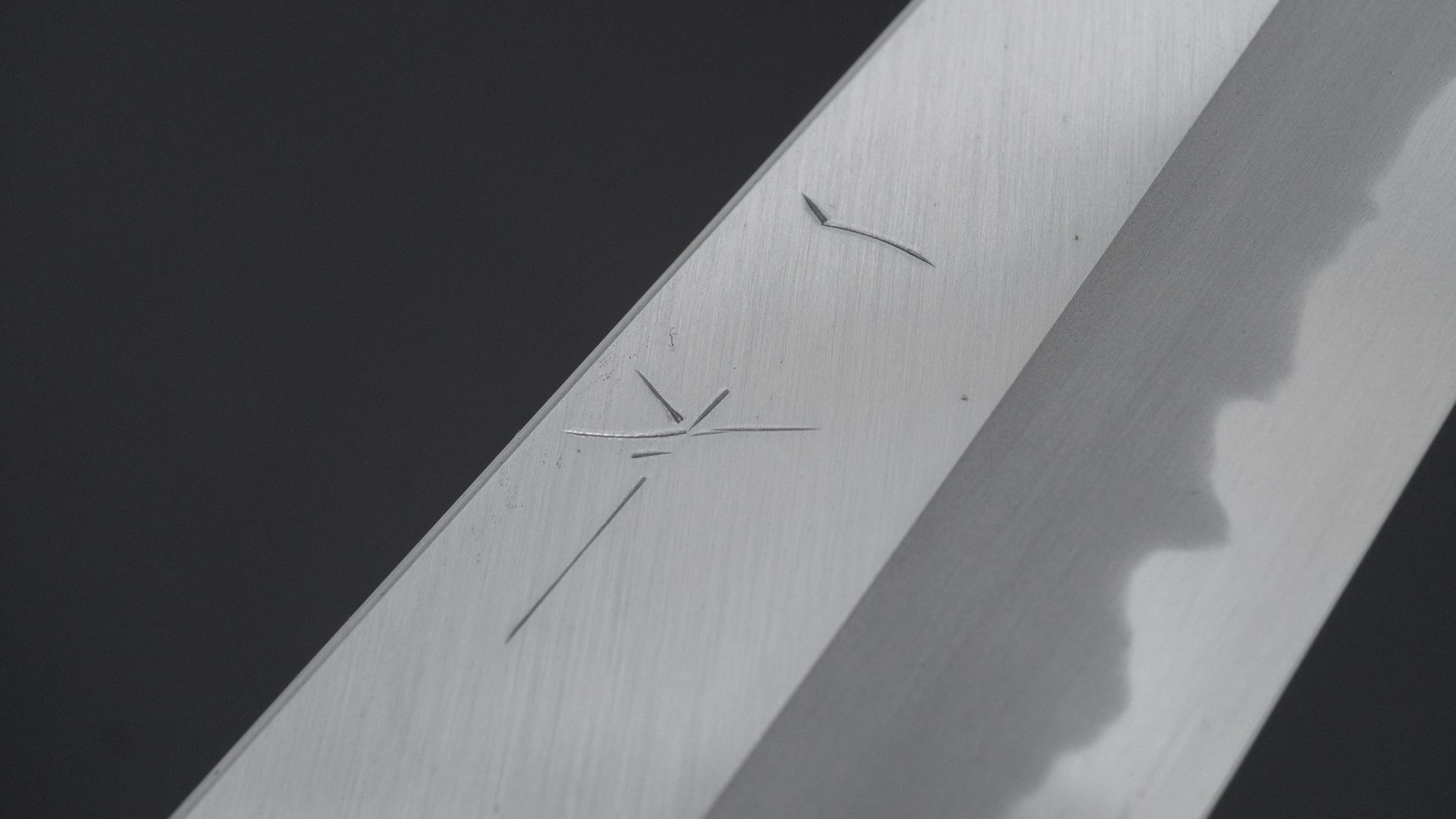 Hitohira Tanaka Kyuzo Blue #1 Migaki Gyuto 210mm Taihei Makassar Ebony Handle