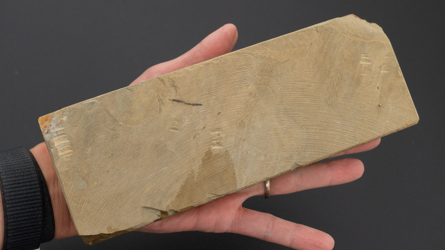 Hitohira Picked Ohira Natural Stone Type 40 (No.0101)