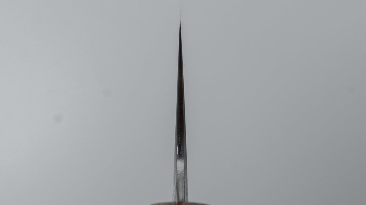 Tetsujin SP Blue #2 Damascus Sujihiki 270mm Cocobolo Handle (#06)
