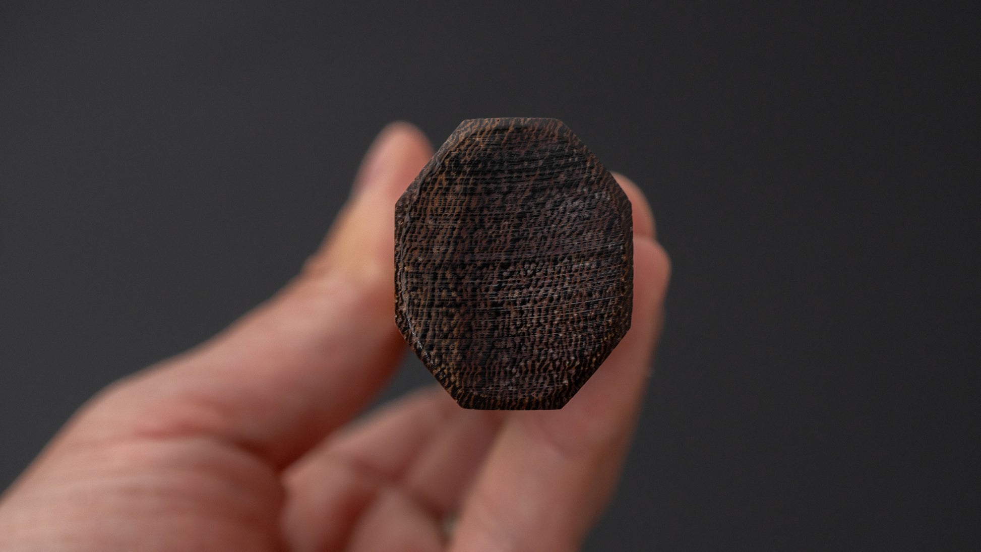 Jiro Tsuchime Wa Sujihiki 240mm Taihei Tagayasan Handle (#725)