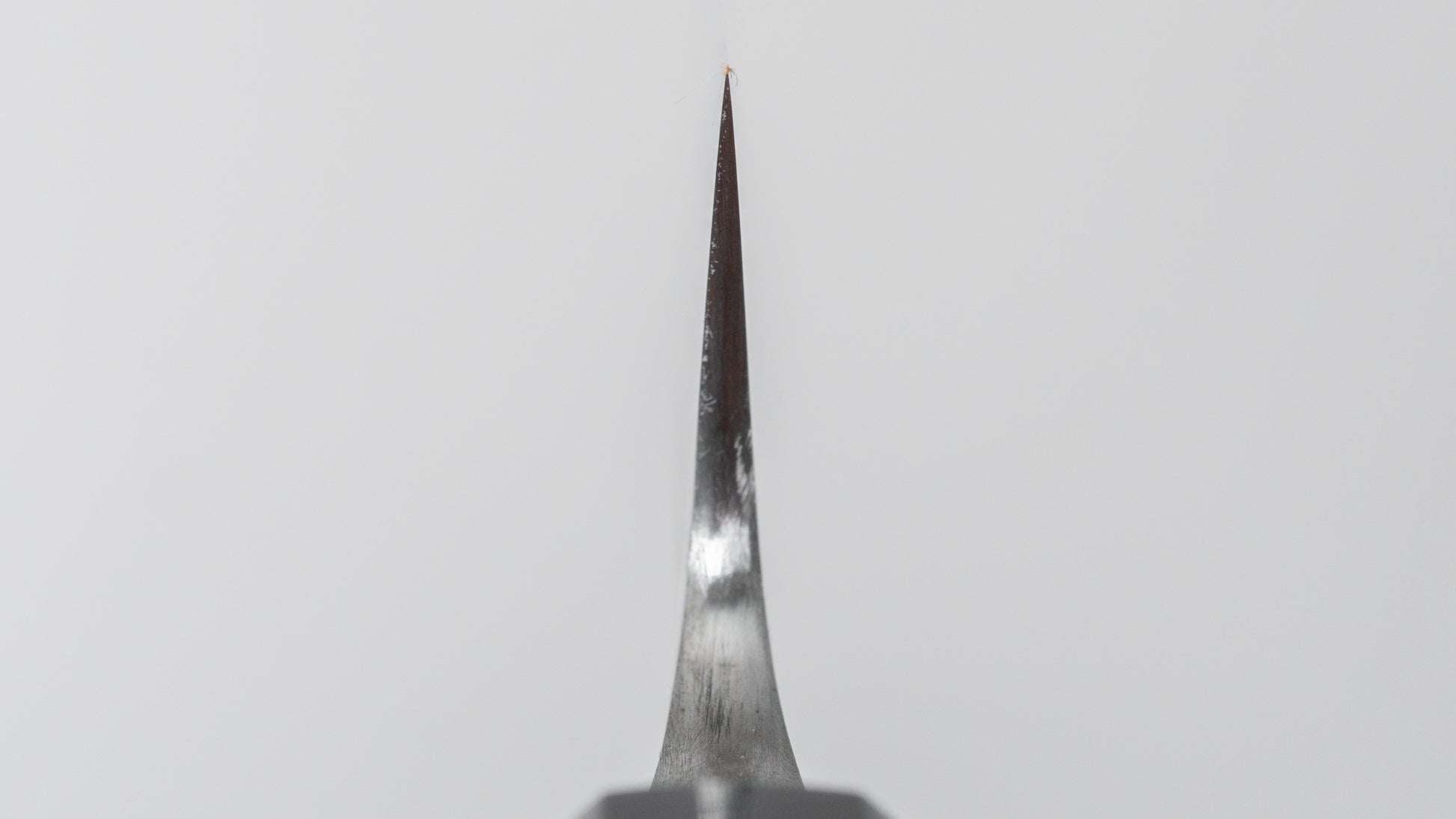 Jiro Tsuchime Wa Sujihiki 240mm Taihei Tagayasan Handle (#725)