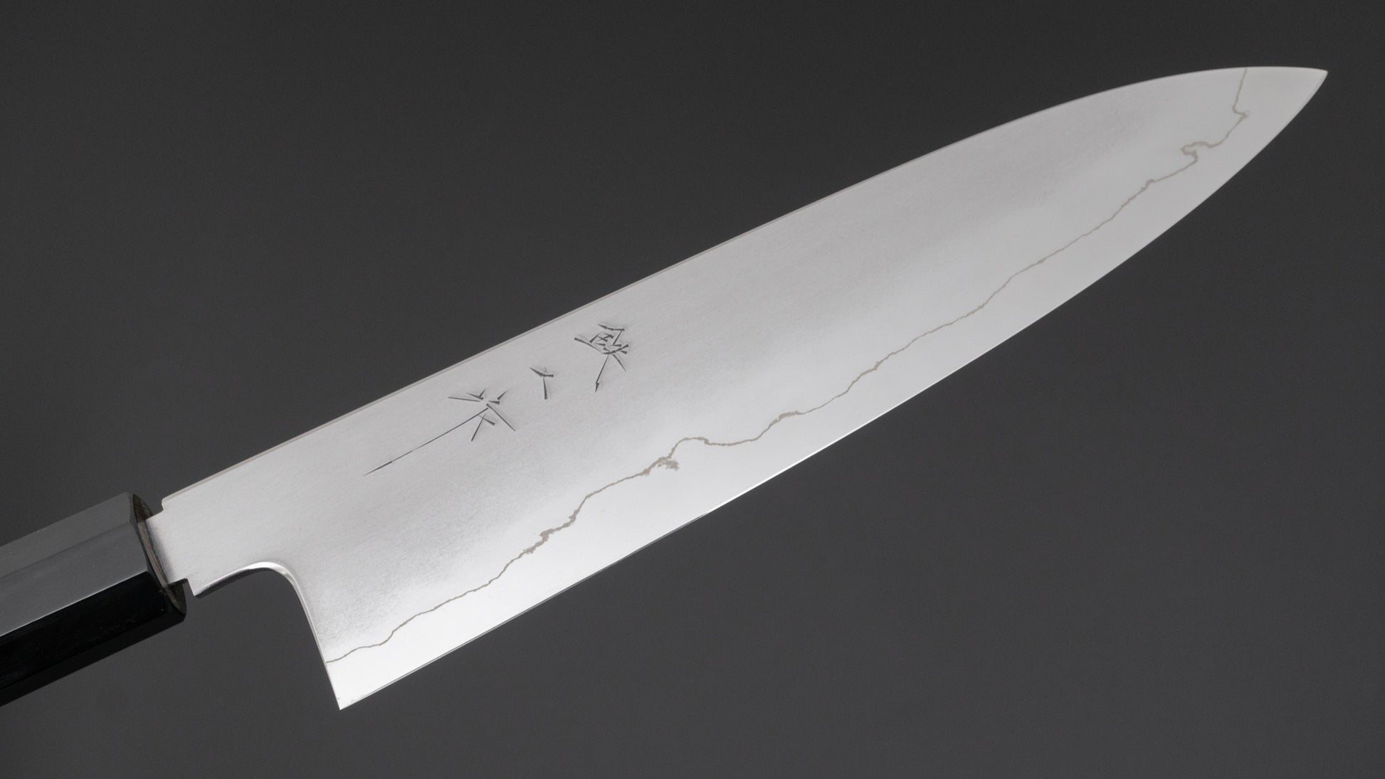 Tetsujin Silver #3 Kasumi Gyuto 210mm Taihei Tagayasan Handle - HITOHIRA