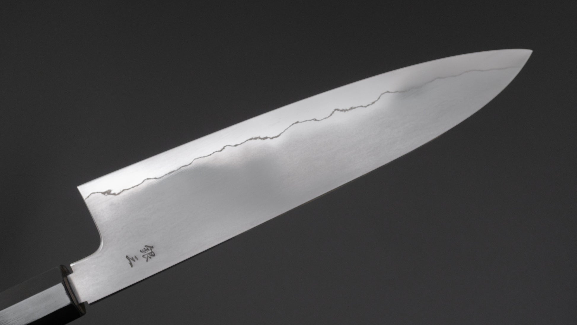 Tetsujin Silver #3 Kasumi Gyuto 210mm Taihei Tagayasan Handle - HITOHIRA