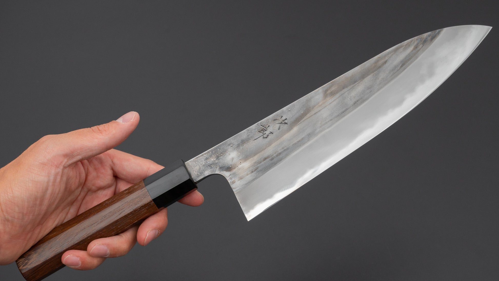 Jiro Tsuchime Wa Gyuto 225mm Taihei Tagayasan Handle (#737)