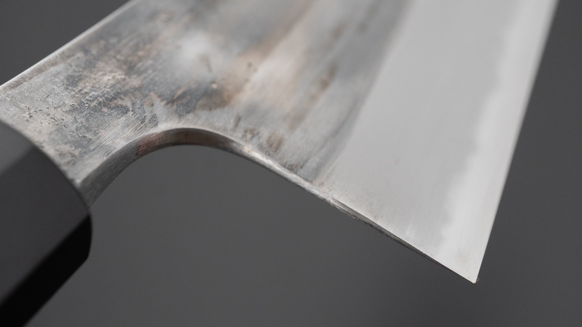 Jiro Tsuchime Wa Gyuto 225mm Taihei Tagayasan Handle (#737)