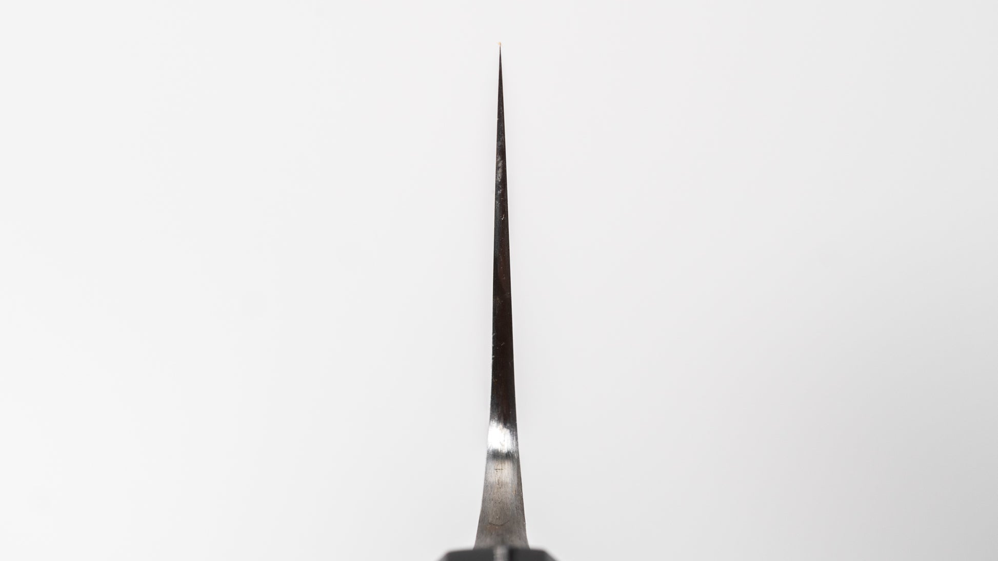 Jiro Tsuchime Wa Gyuto 225mm Taihei Tagayasan Handle (#737)