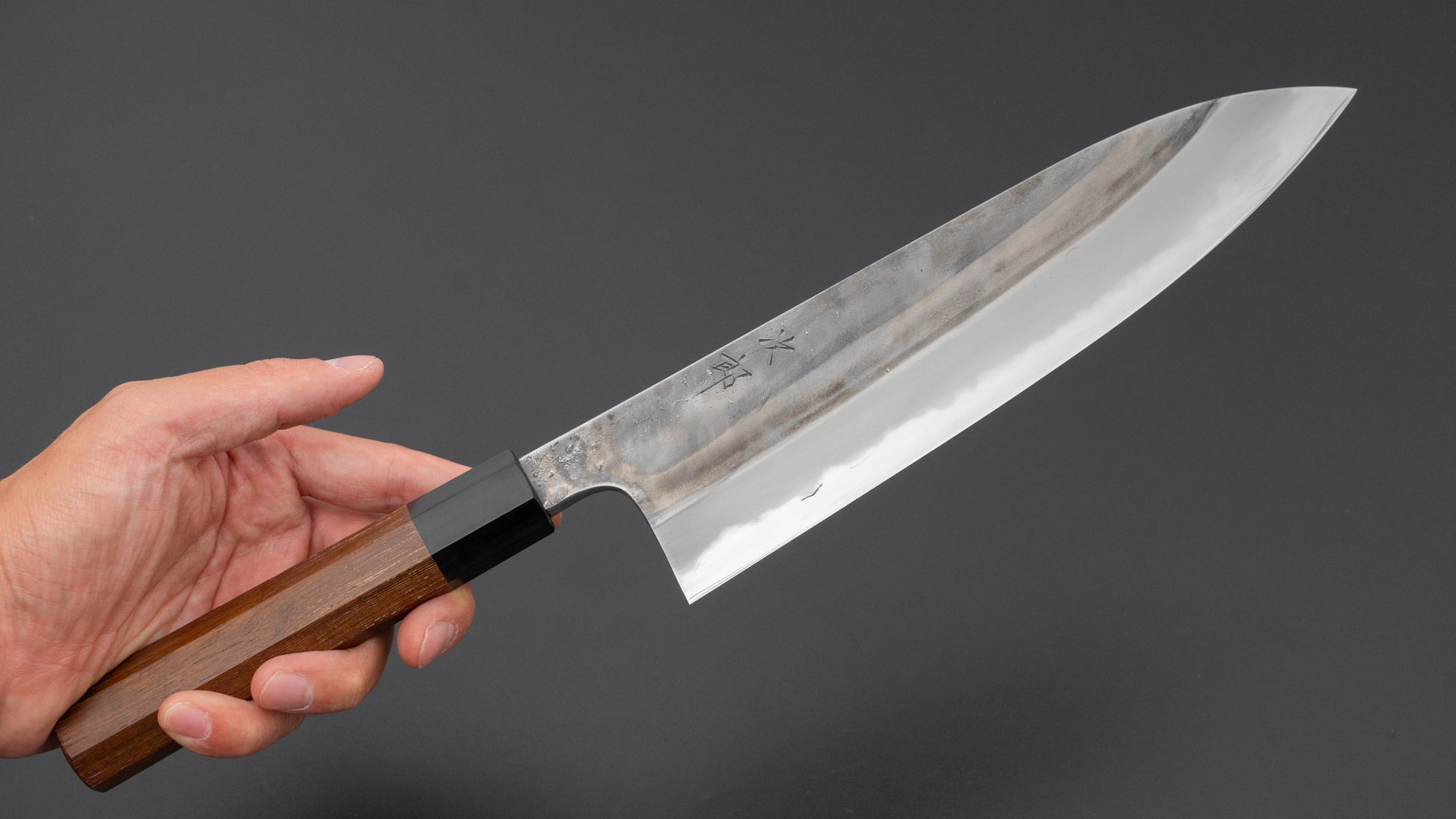 Jiro Tsuchime Wa Gyuto 225mm Taihei Tagayasan Handle (#738)
