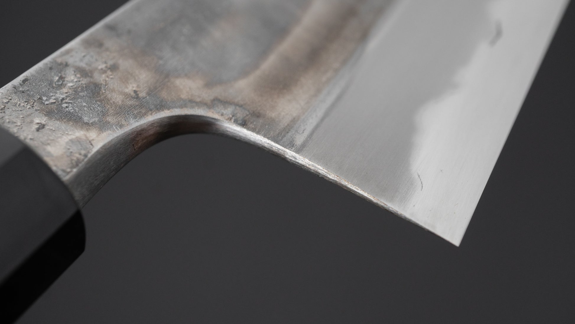 Jiro Tsuchime Wa Gyuto 225mm Taihei Tagayasan Handle (#738)