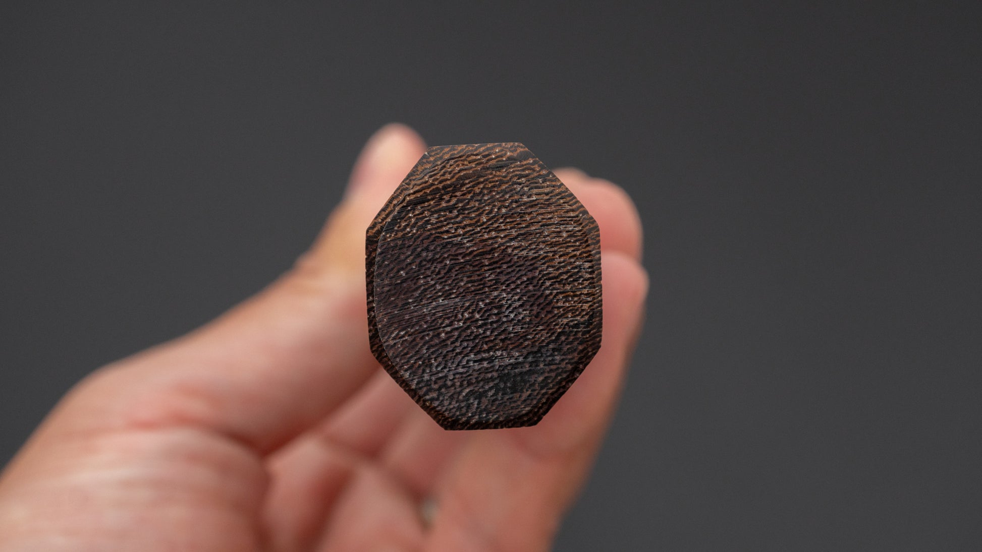 Jiro Tsuchime Wa Gyuto 225mm Taihei Tagayasan Handle (#739)