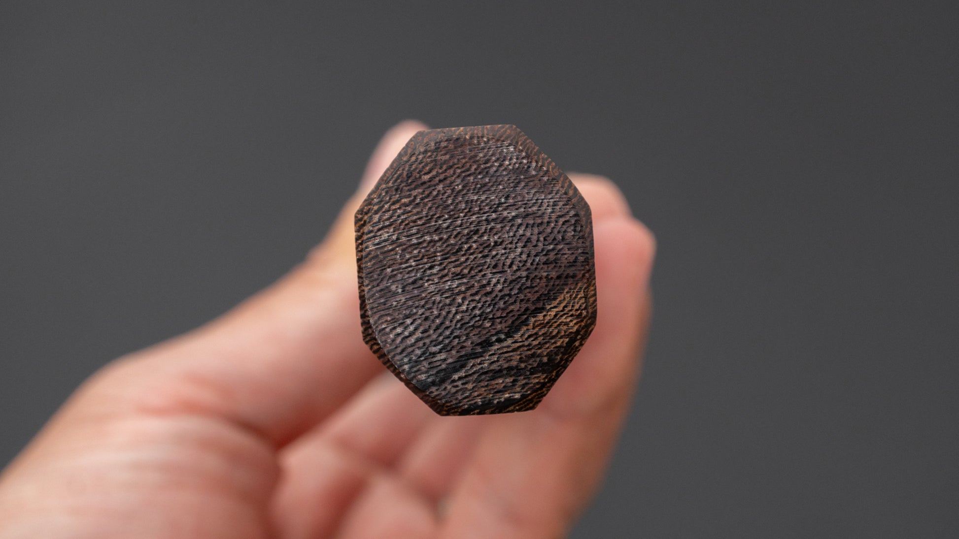 Jiro Tsuchime Wa Sujihiki 270mm Taihei Tagayasan Handle (#743)