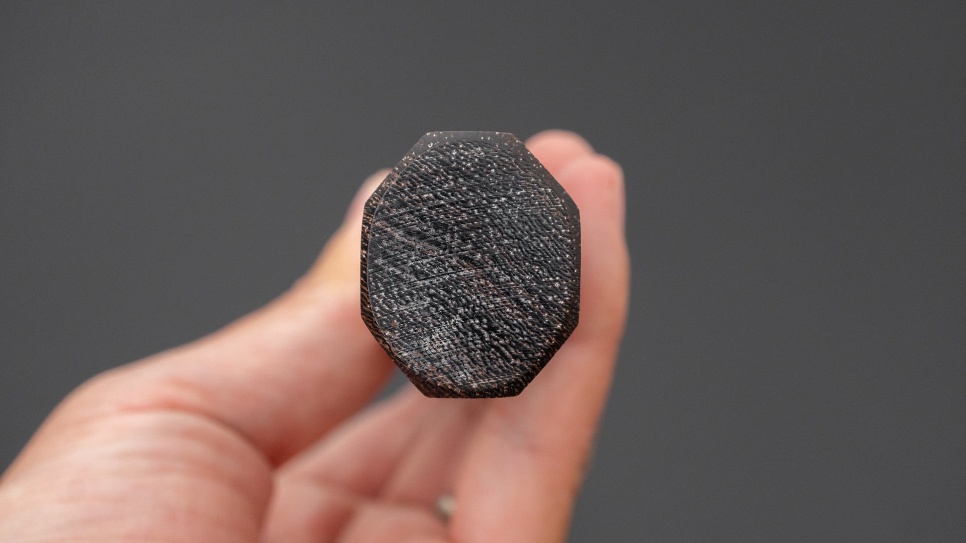 Jiro Tsuchime Wa Sujihiki 270mm Taihei Tagayasan Handle (#744)