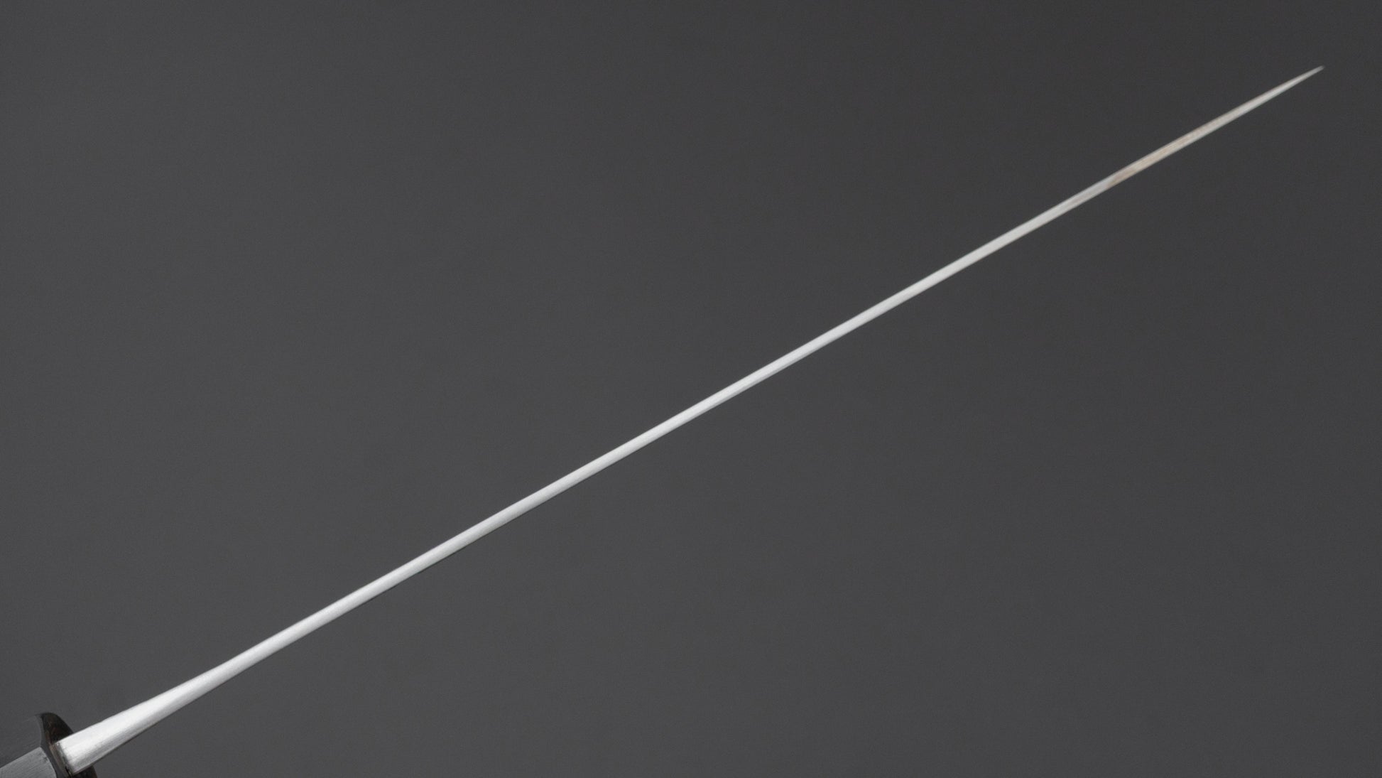 Jiro Tsuchime Wa Sujihiki 270mm Taihei Tagayasan Handle (#745)