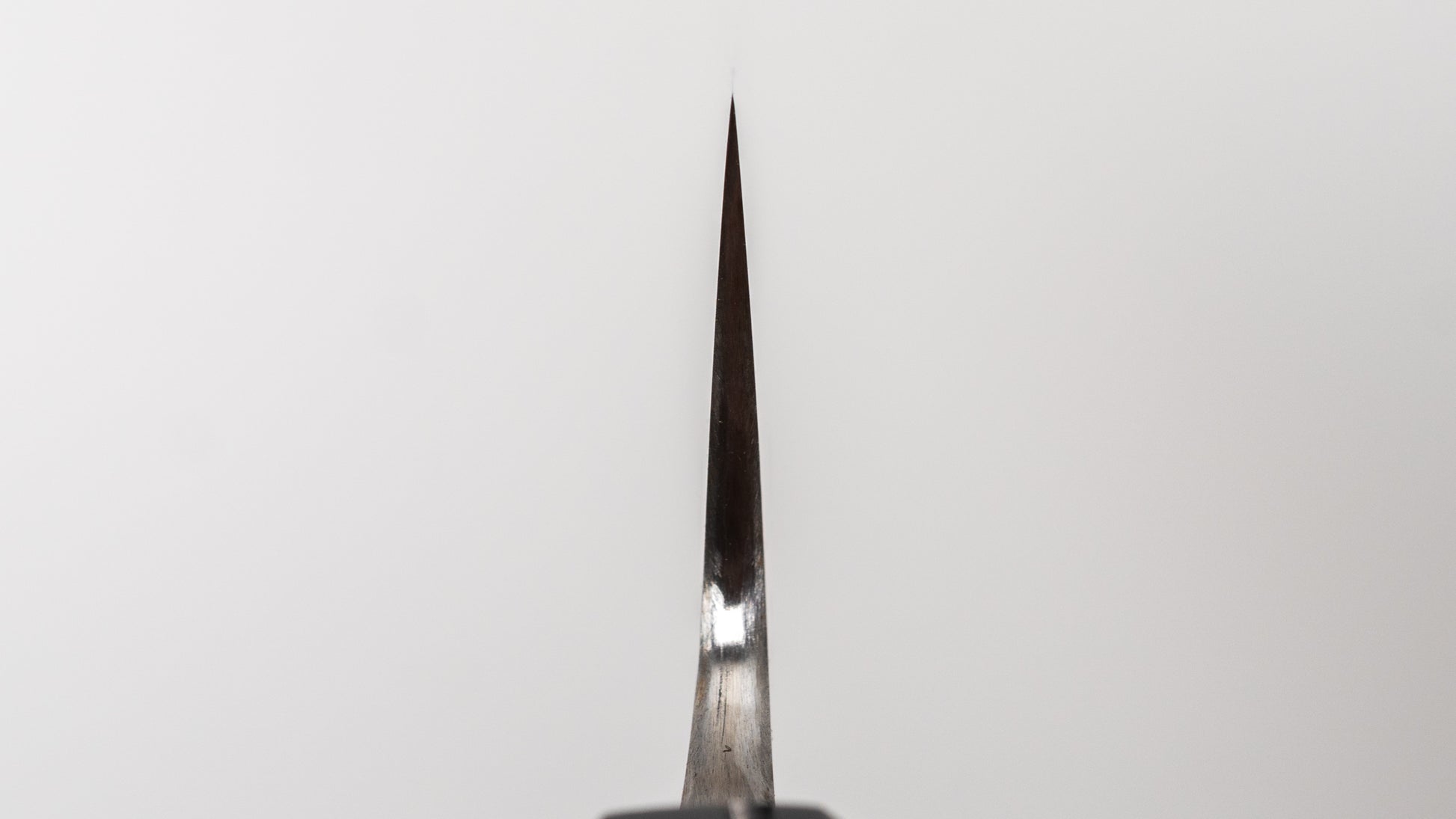 Jiro Tsuchime Wa Sujihiki 270mm Taihei Tagayasan Handle (#745)