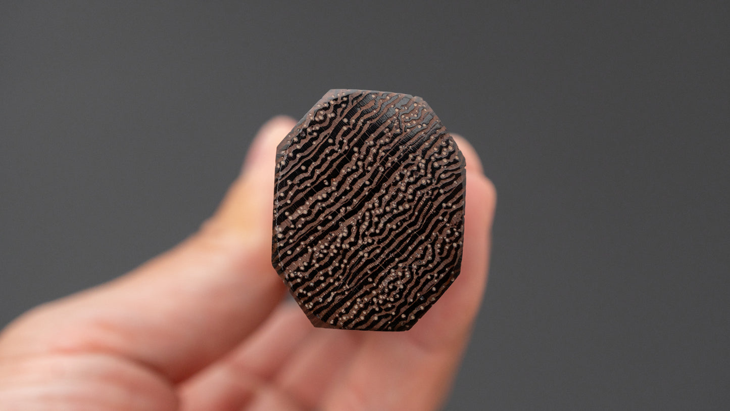 Hitohira Echizen SG2 Tsuchime Bunka Tagayasan Handle