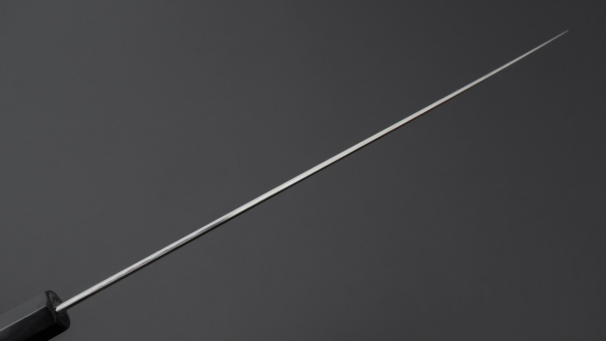 Hitohira Tanaka Izo Blue #1 Stainless Clad Gyuto 240mm Ziricote Handle