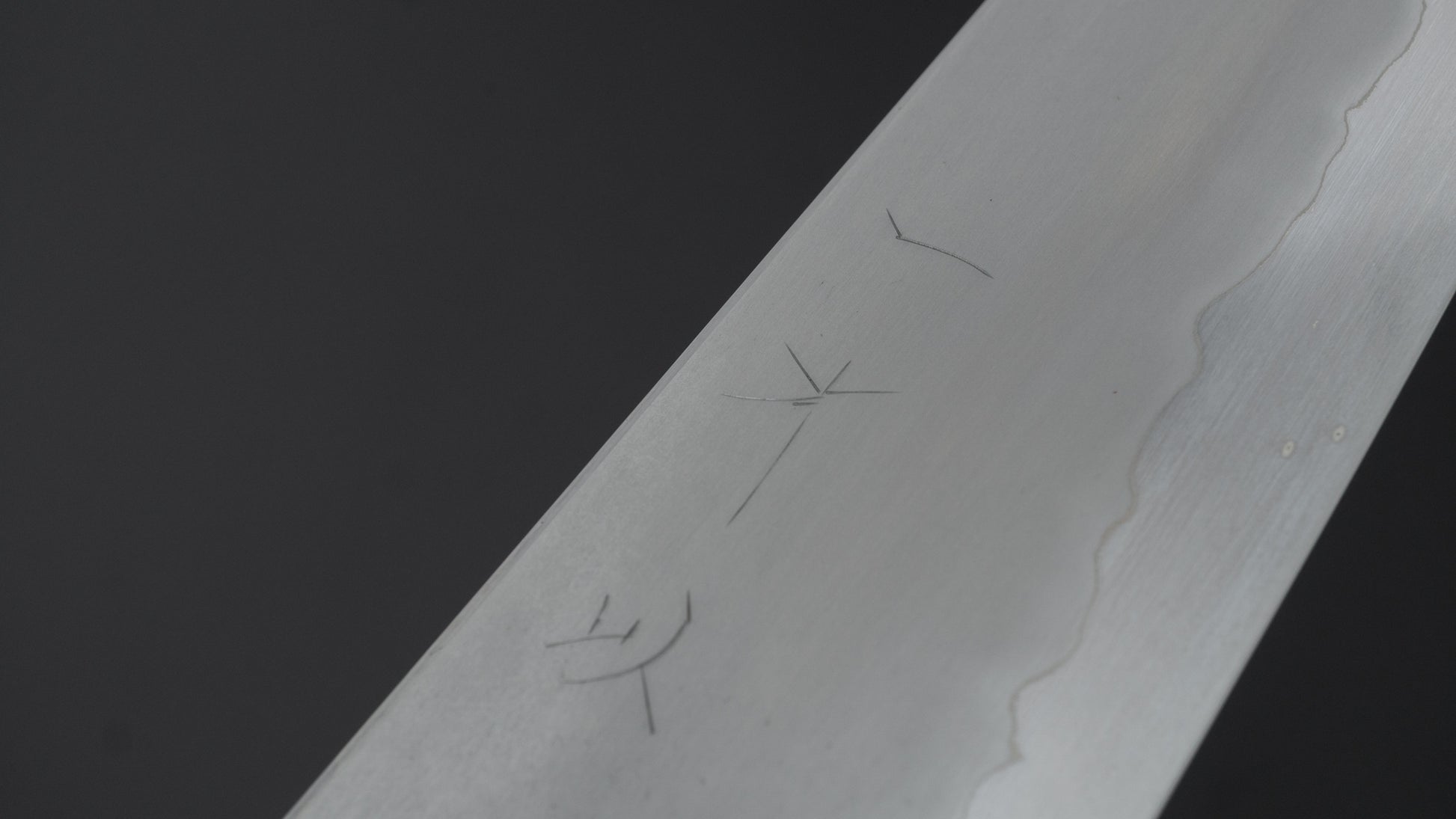 Hitohira Tanaka Izo Blue #1 Stainless Clad Gyuto 240mm Ziricote Handle