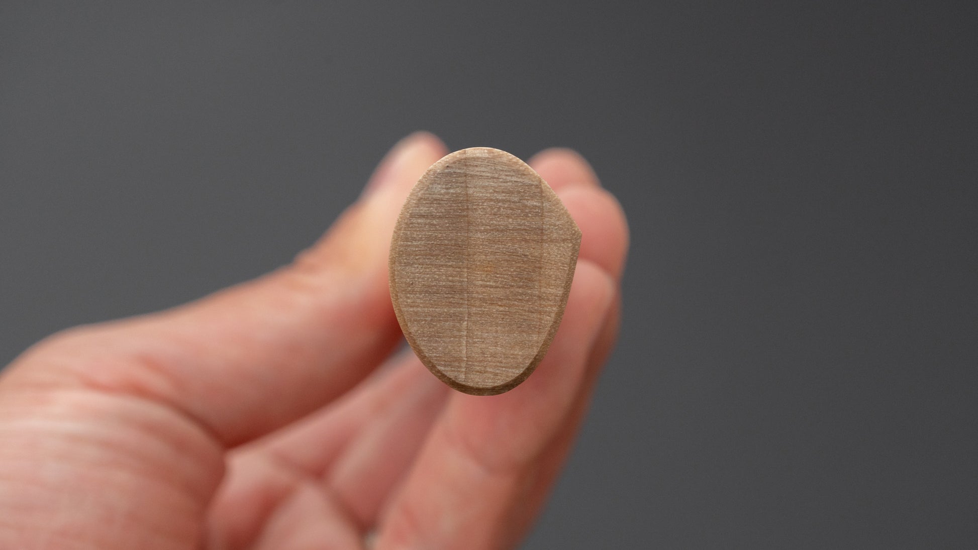 Hitohira KH Stainless Petty 120mm Ho Wood Handle (D-Shape)