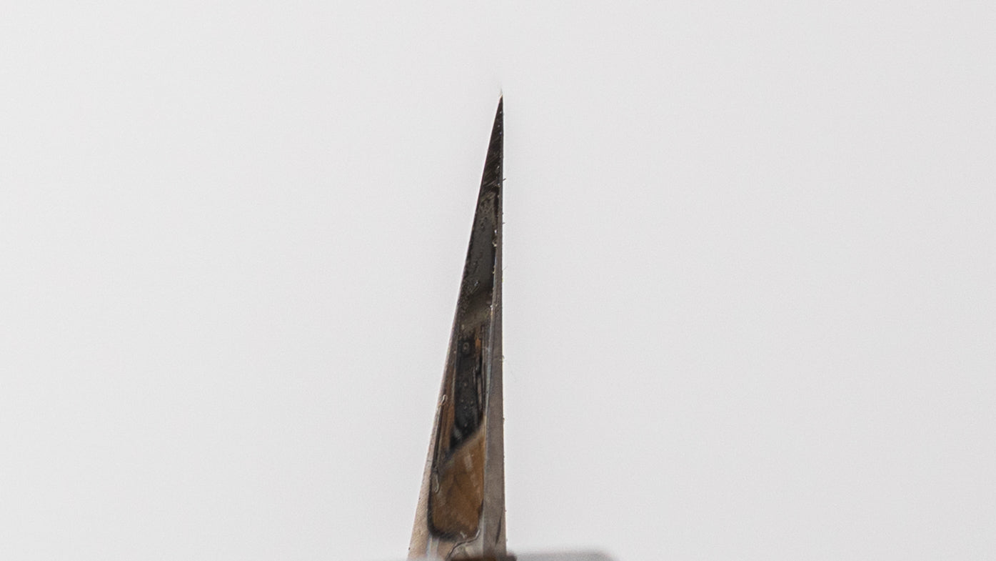 Hitohira Togashi White #1 Tachi Yanagiba 270mm Ho Wood Handle (Saya)