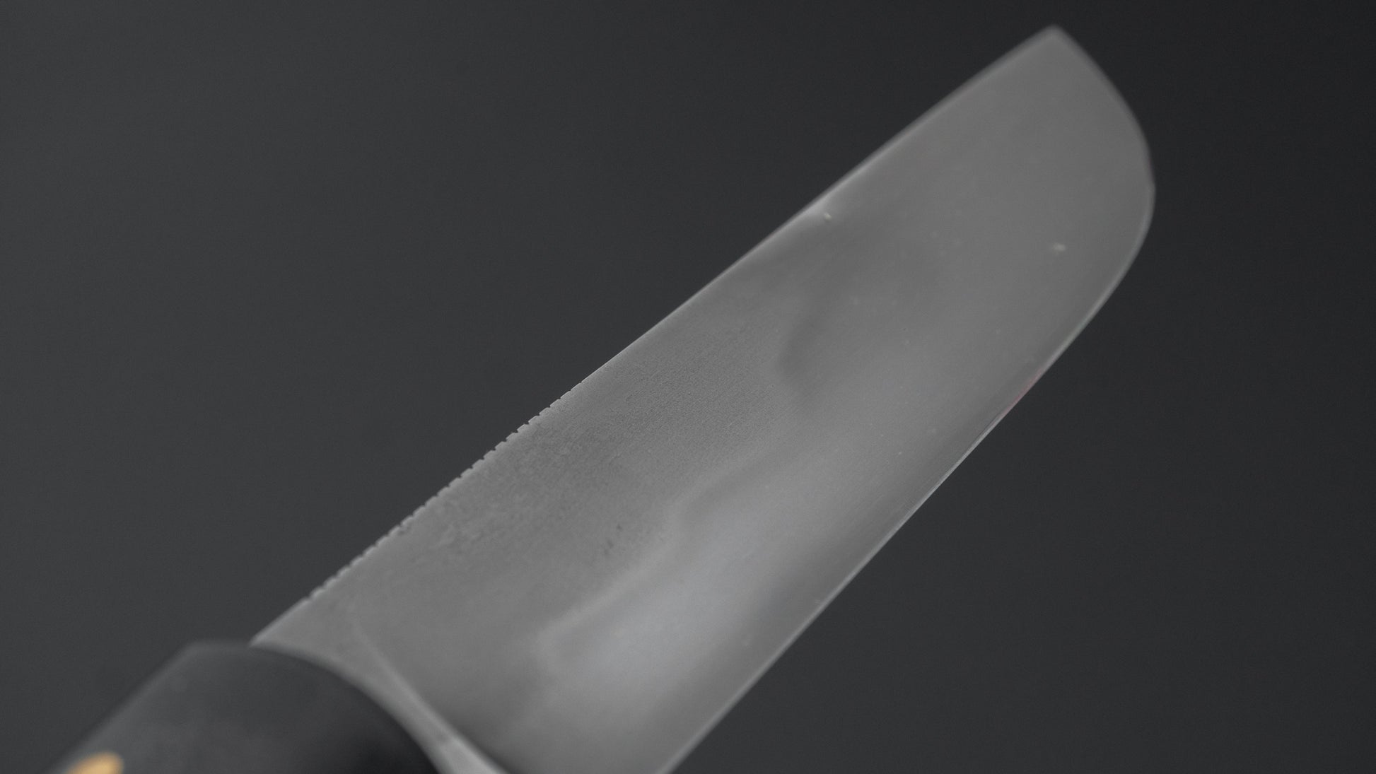 Seino Shikari Blue #2 Honyaki Fixed Blade Canvas Micarta Handle (#004)