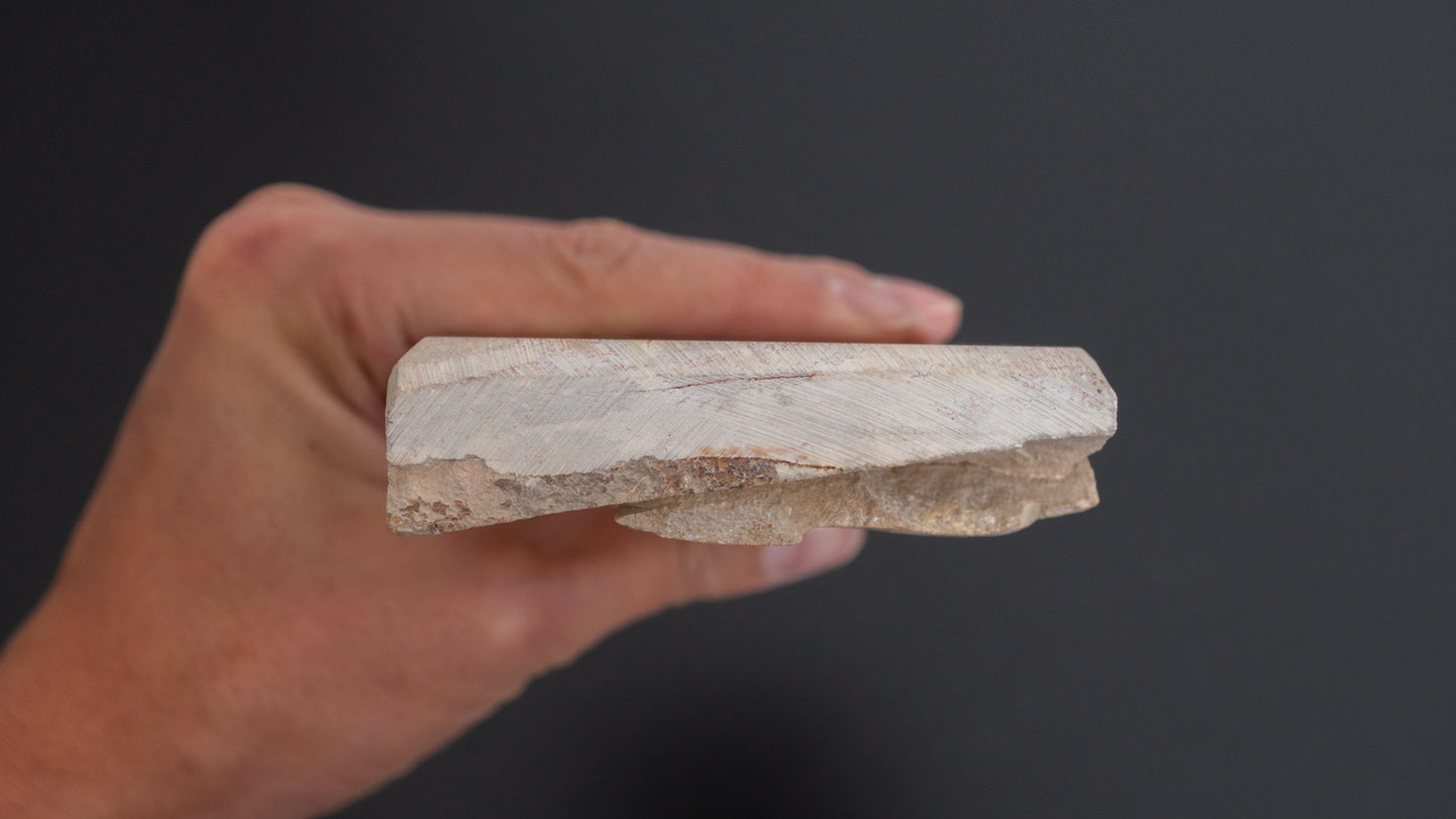 Tanaka Toishi Hideriyama Renge Suita Natural Stone (#A013)