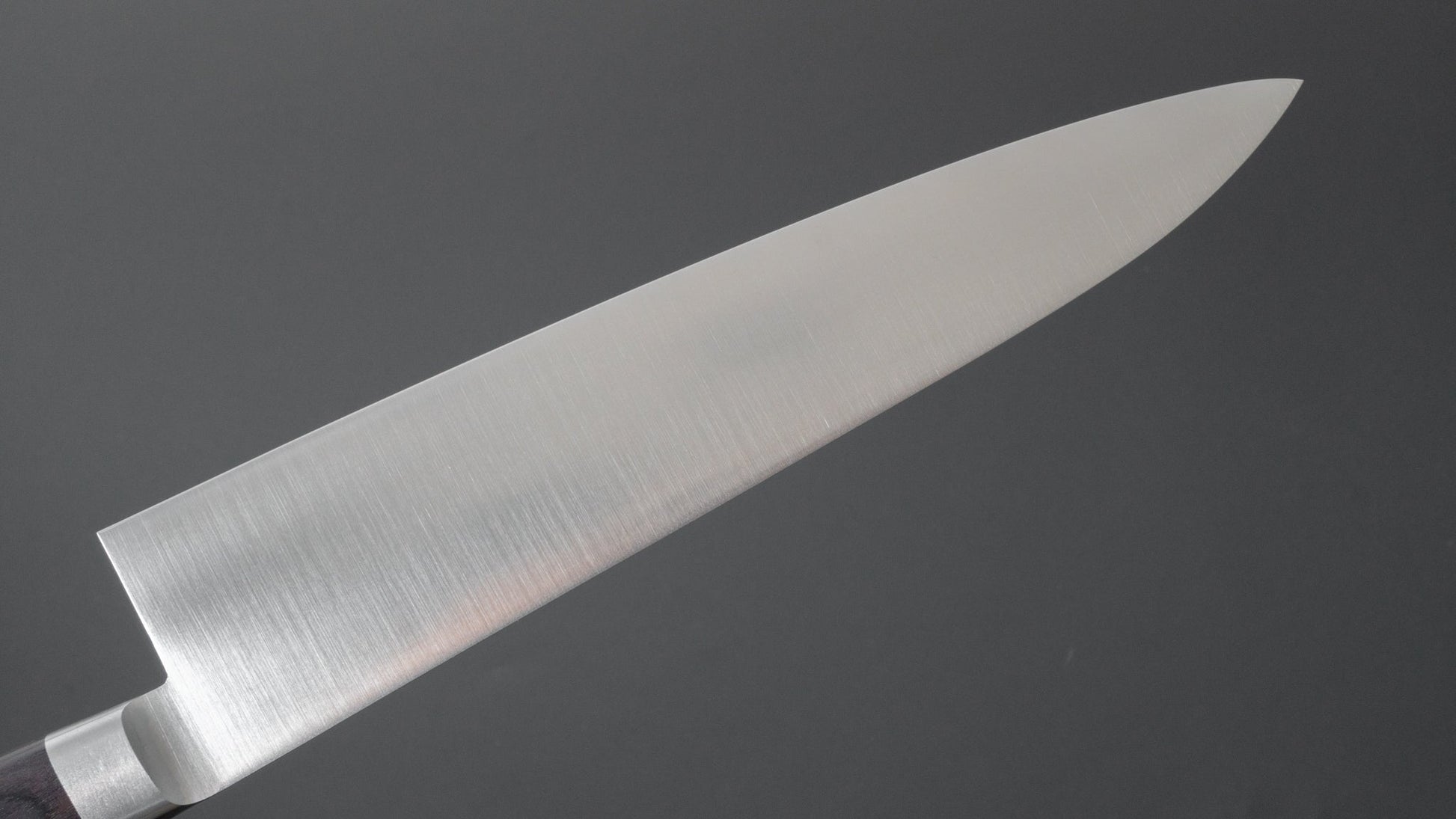 Hitohira FJ VG-1 Gyuto 210mm Pakka Handle - HITOHIRA