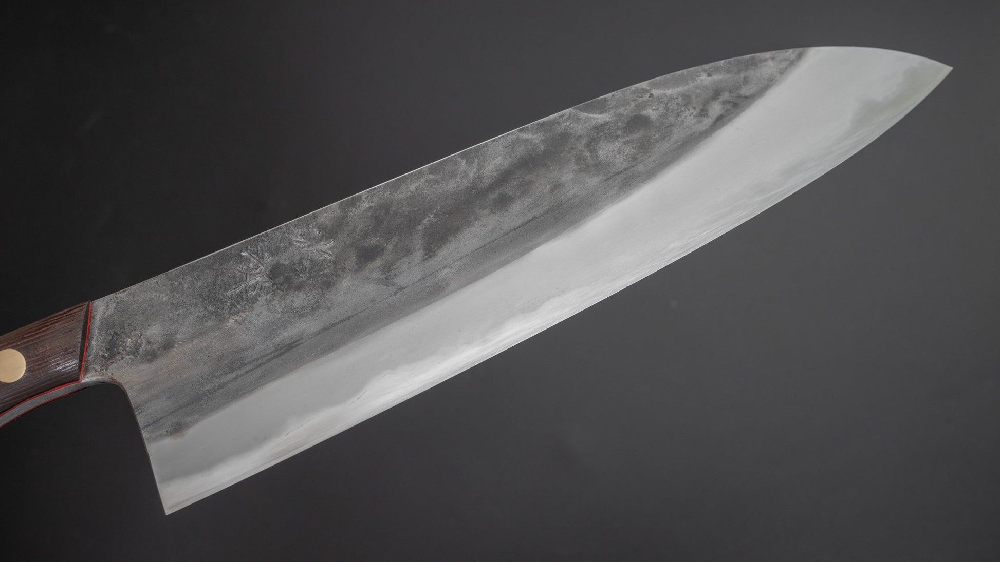 Jiro Tsuchime Yo Gyuto 240mm Tagayasan Handle (#232) - HITOHIRA