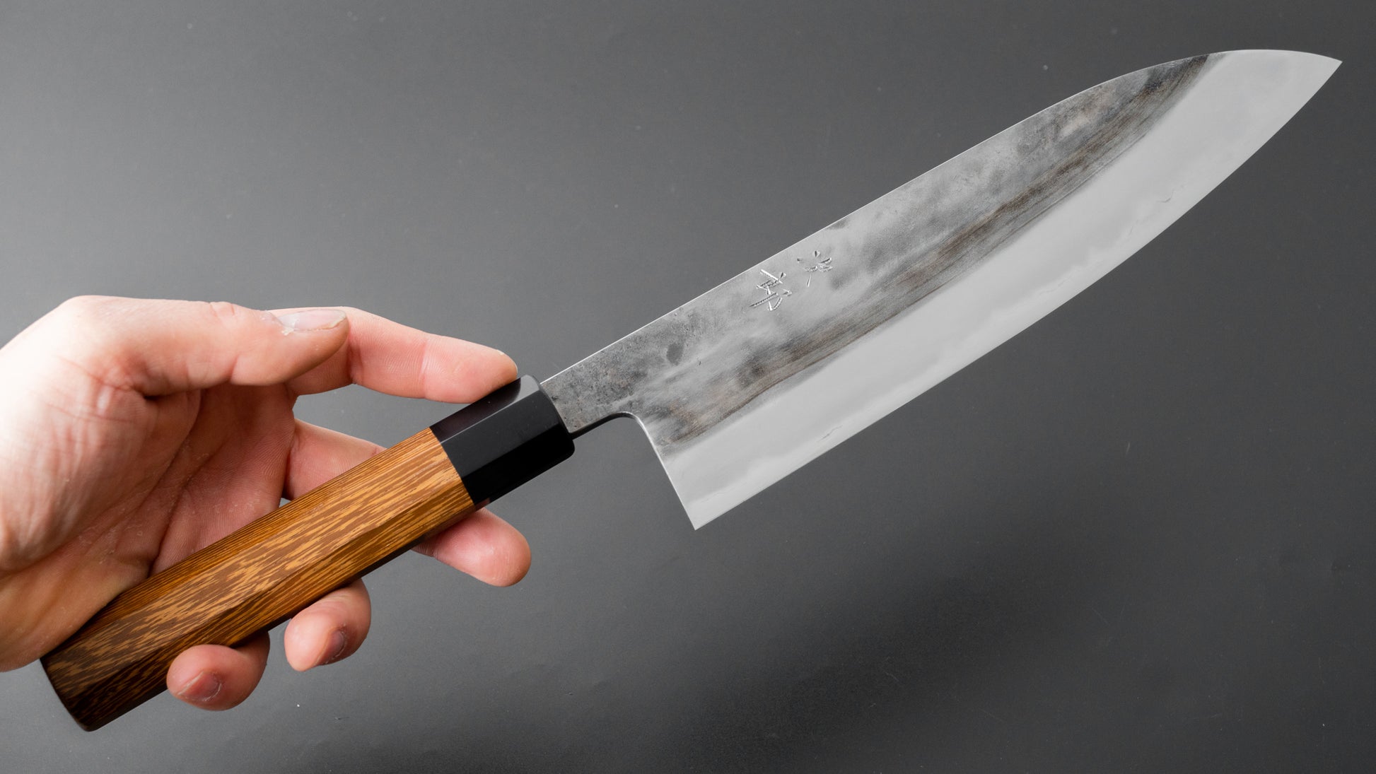 Jiro Tsuchime Wa Gyuto 240mm Taihei Tagayasan Handle (#358) - HITOHIRA