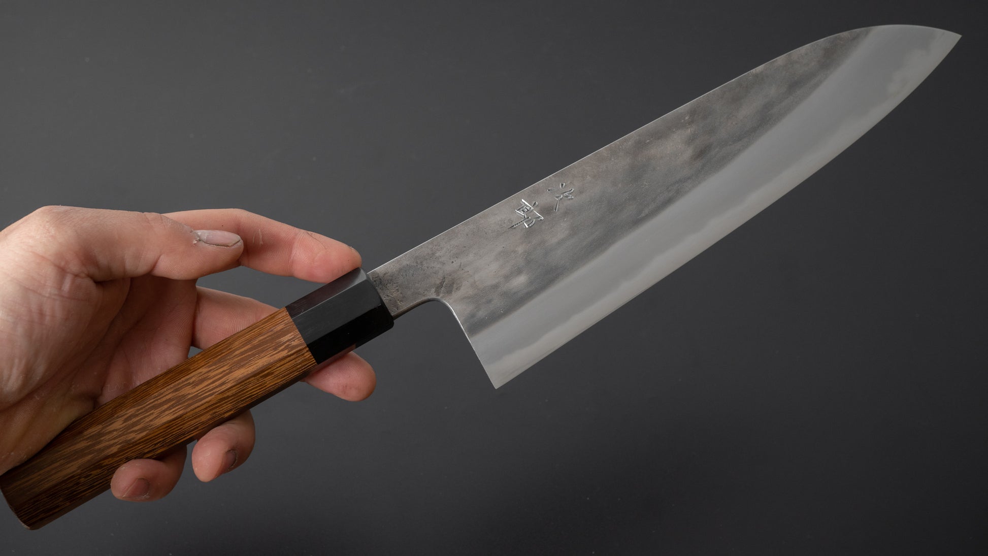 Jiro Tsuchime Wa Gyuto 225mm Taihei Tagayasan Handle (#371) - HITOHIRA