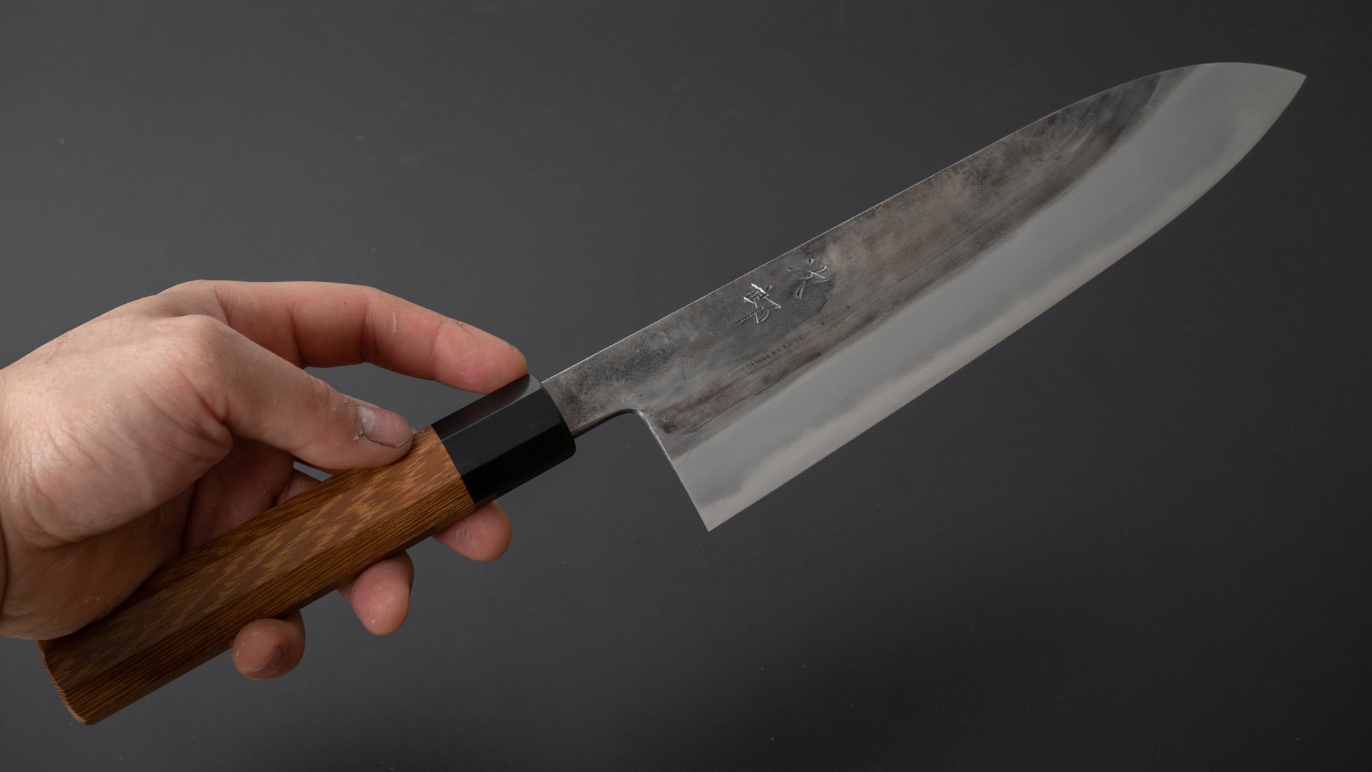 Jiro Tsuchime Wa Gyuto 225mm Taihei Tagayasan Handle (#372) - HITOHIRA