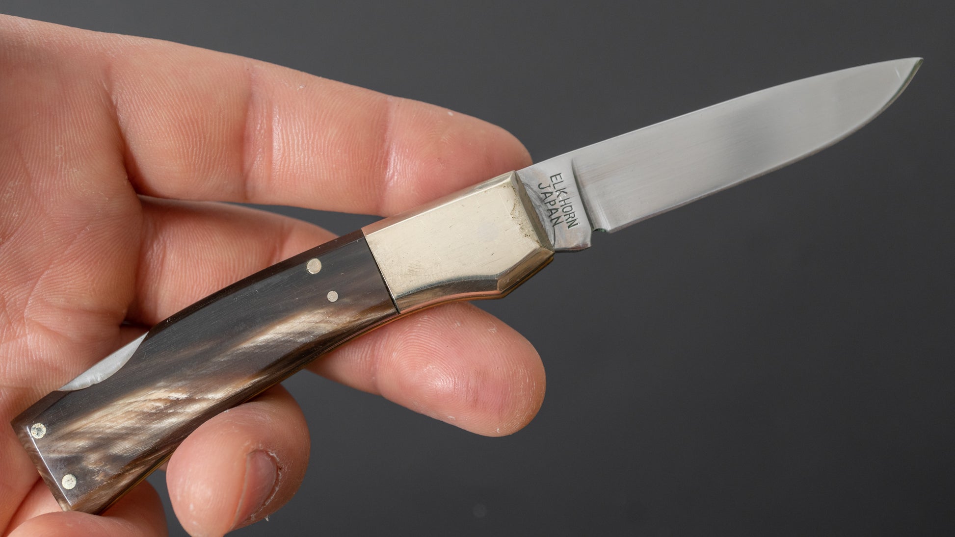 Taylor Cutlery FALCON Folding Knife 55mm Elk Horn Handle - HITOHIRA