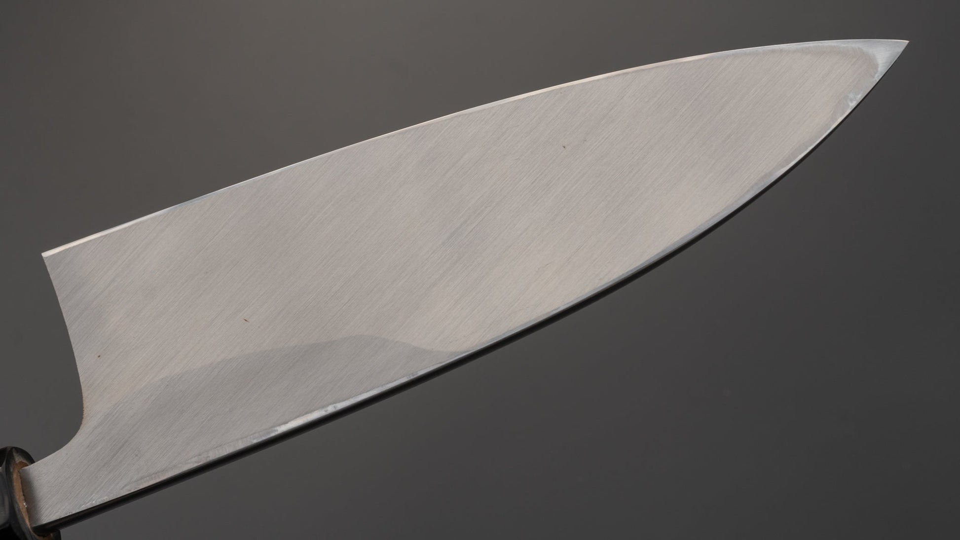 Kogetsu NOS White Steel Deba 165mm Ho Wood Handle | HITOHIRA