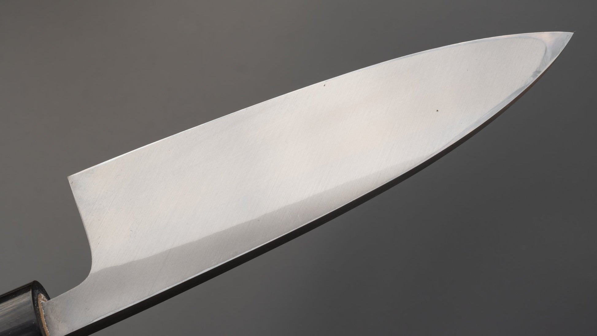 Kogetsu NOS White Steel Deba 150mm Ho Wood Handle (Fine) | HITOHIRA