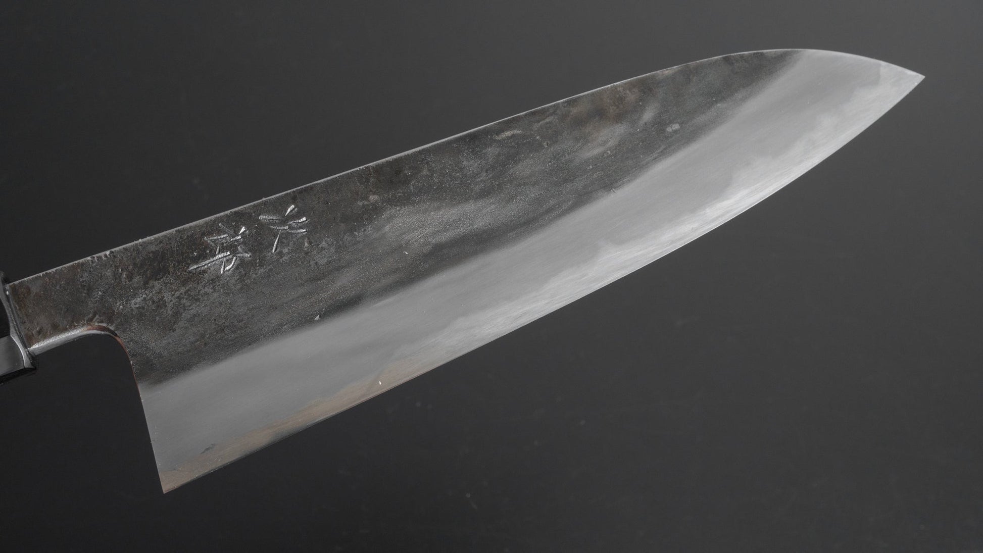 Jiro Tsuchime Wa Gyuto 210mm Taihei Tagayasan Handle (#166) - HITOHIRA