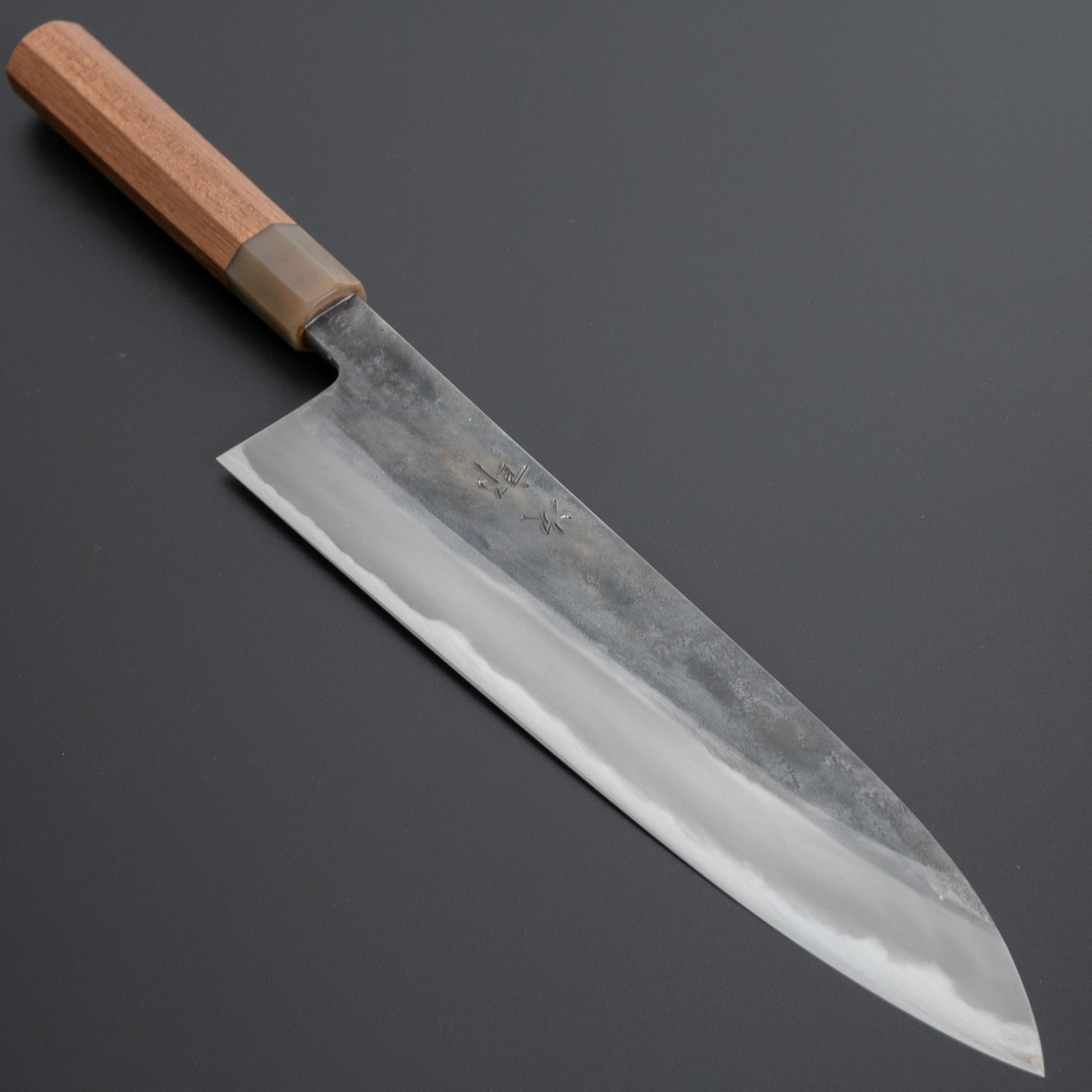 Jiro Tsuchime Wa Gyuto 255mm Taihei Tagayasan Handle (#267/ Discounted) - HITOHIRA