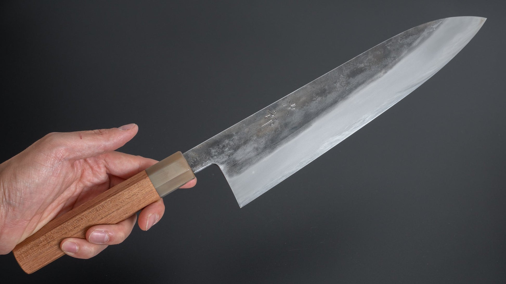 Jiro Tsuchime Wa Gyuto 255mm Taihei Tagayasan Handle (#267/ Discounted) - HITOHIRA