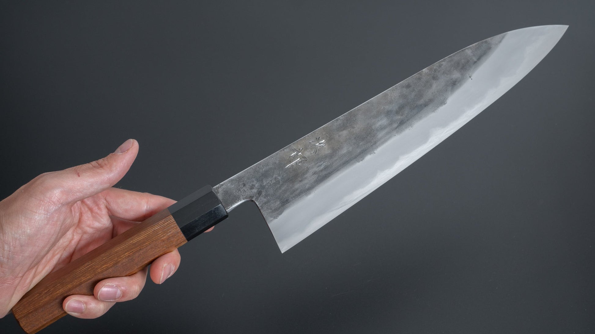 Jiro Tsuchime Wa Gyuto 255mm Taihei Tagayasan Handle (#265) - HITOHIRA