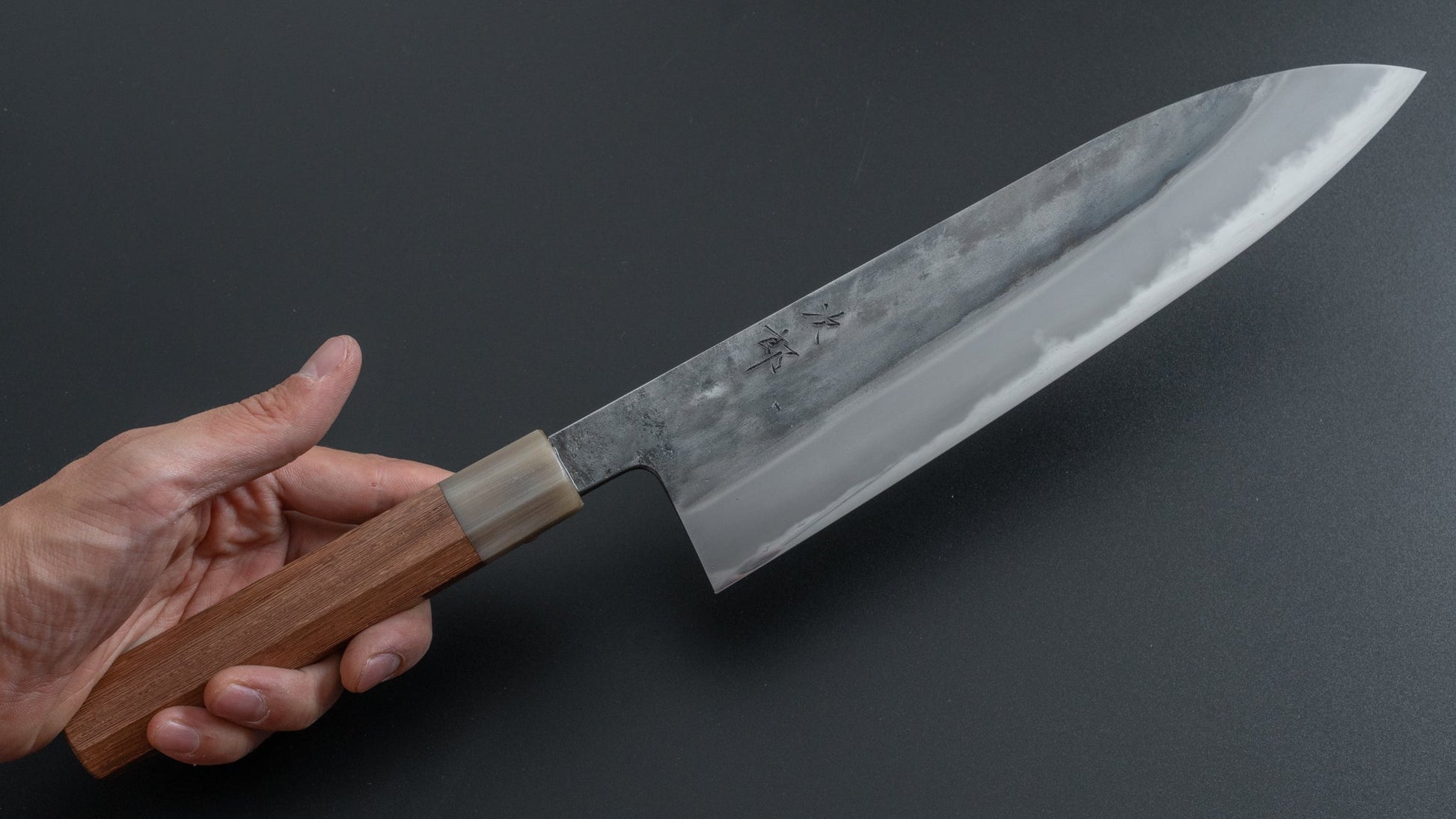 Jiro Tsuchime Wa Gyuto 240mm Taihei Tagayasan Handle (#288) - HITOHIRA