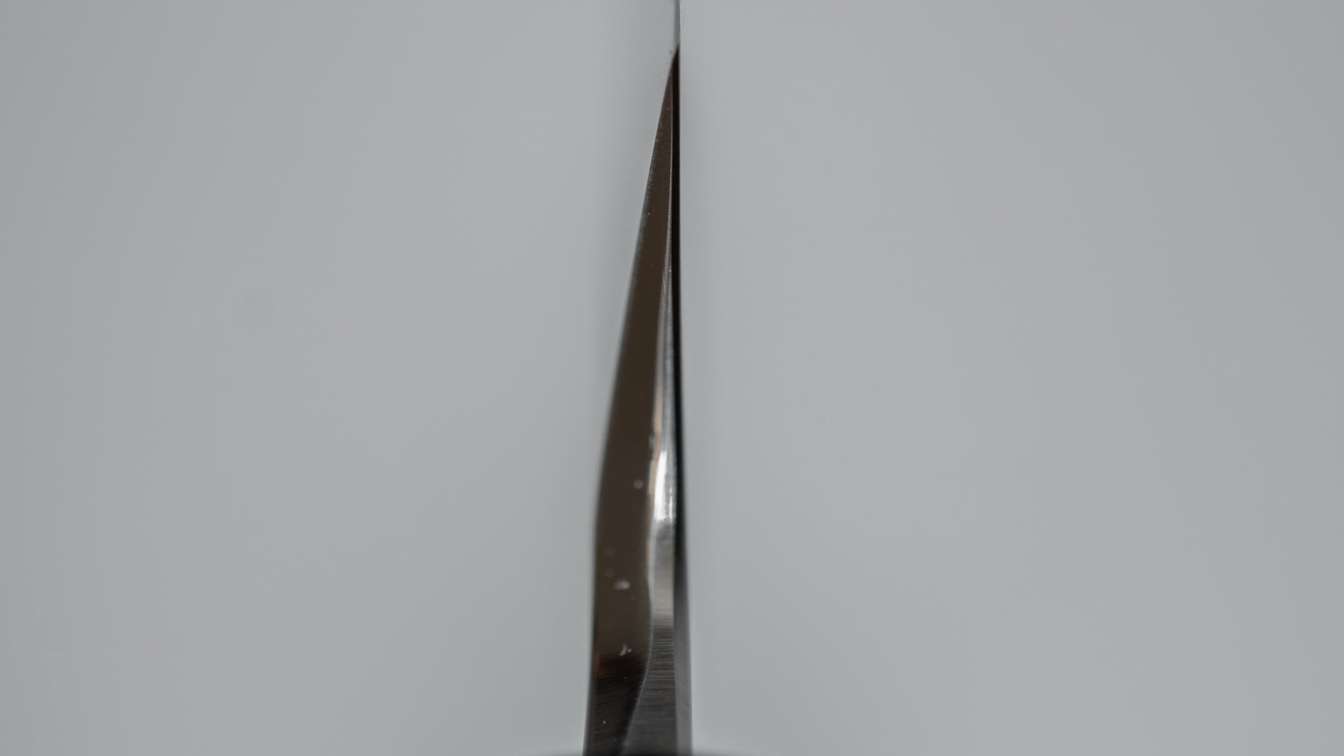 Hitohira Kikuchiyo Manzo Silver #3 Yanagiba 210mm Ho Wood Handle (Saya) - HITOHIRA