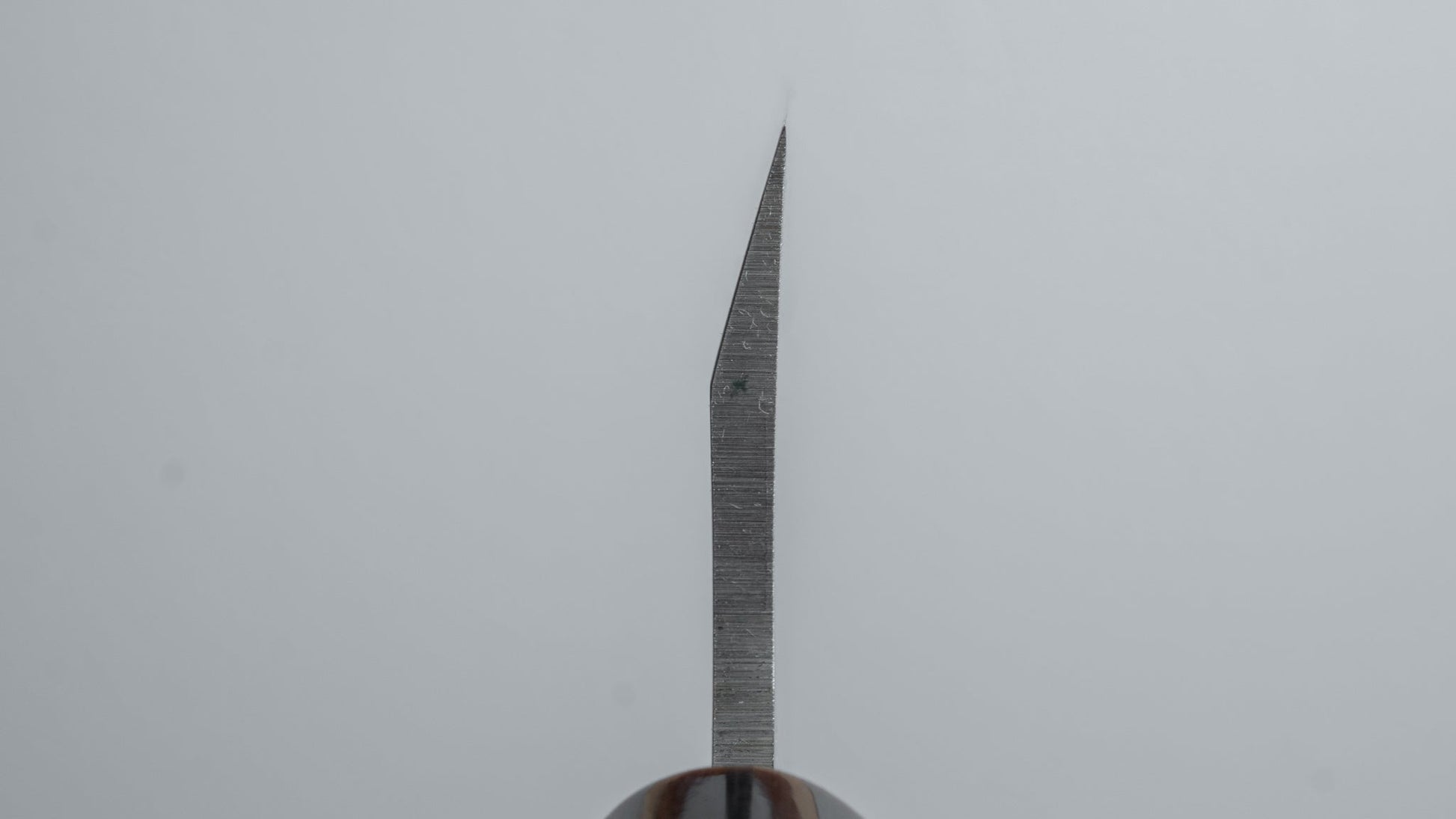 Mumei Stainless Deba 120mm Ho Wood Handle (Thin) - HITOHIRA